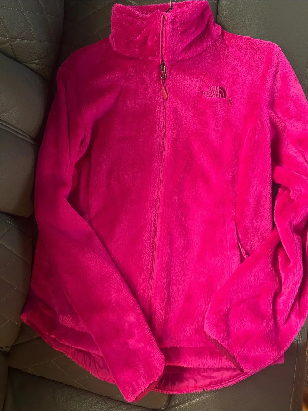 The North Face Plush Fleece Jacket in Bright Pink